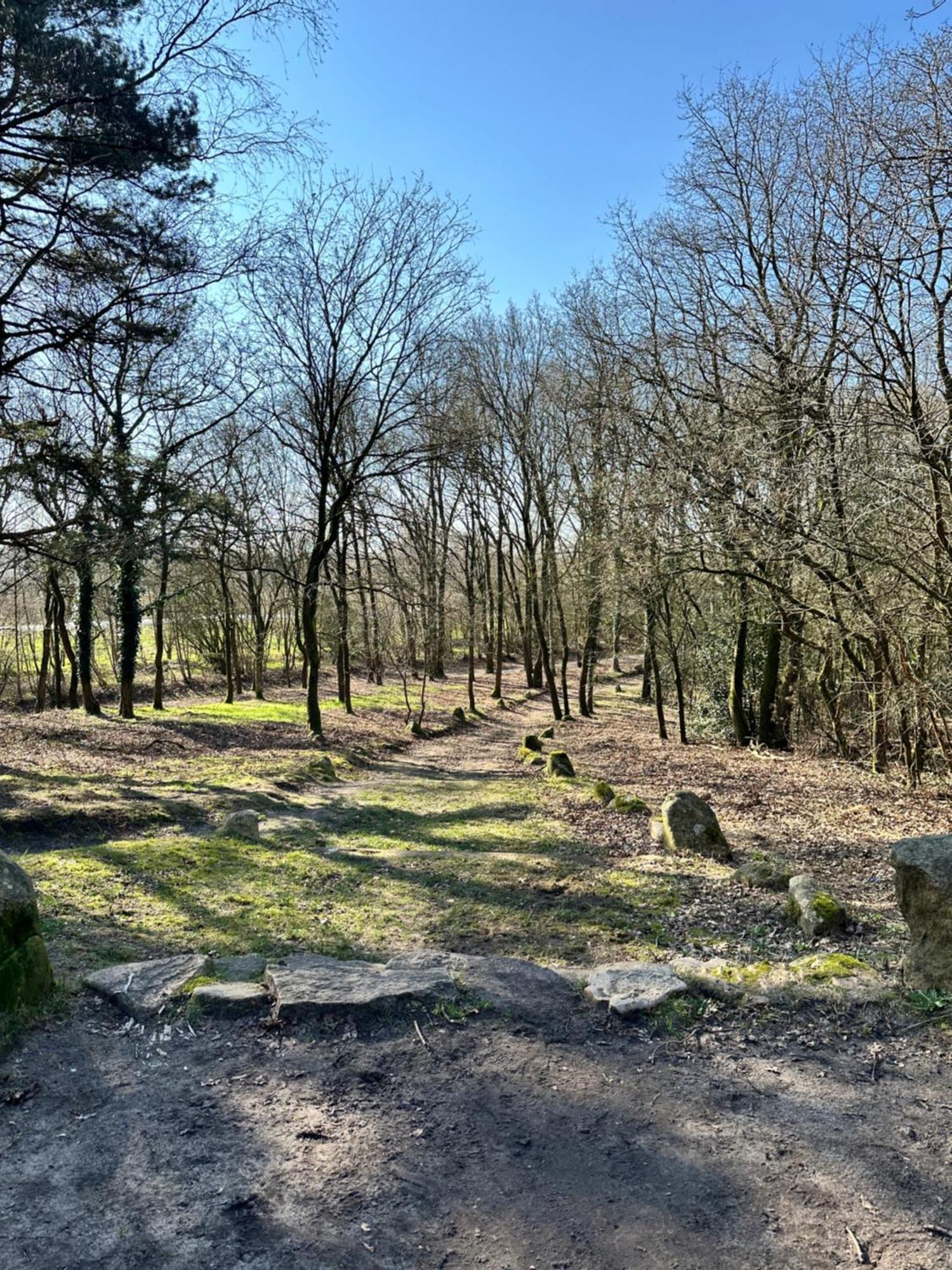 Fewo Am Tillysee In Wardenburg Buitenkant foto